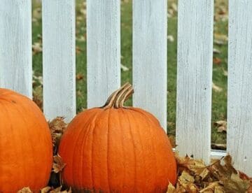 outdoor fall decor