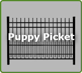 Puppy Picket