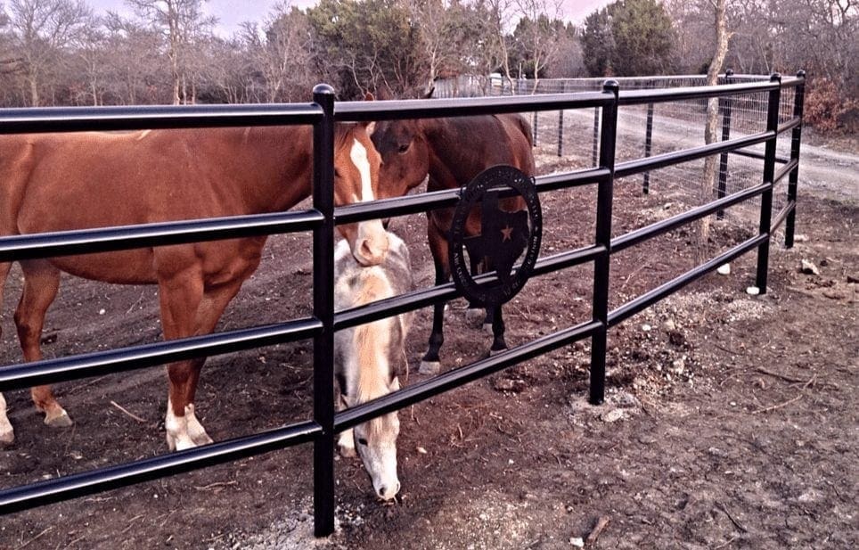 Farm & Ranch Iron Fences