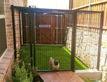 Dog Kennel with Black Steeled and Welded Wire