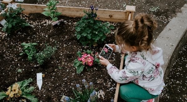 A Kid with Phone in Backyard Garden