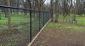 chicken wire to stop dog digging