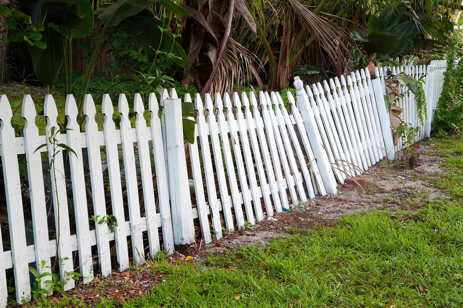 Best Fence Designs for Privacy in Texas