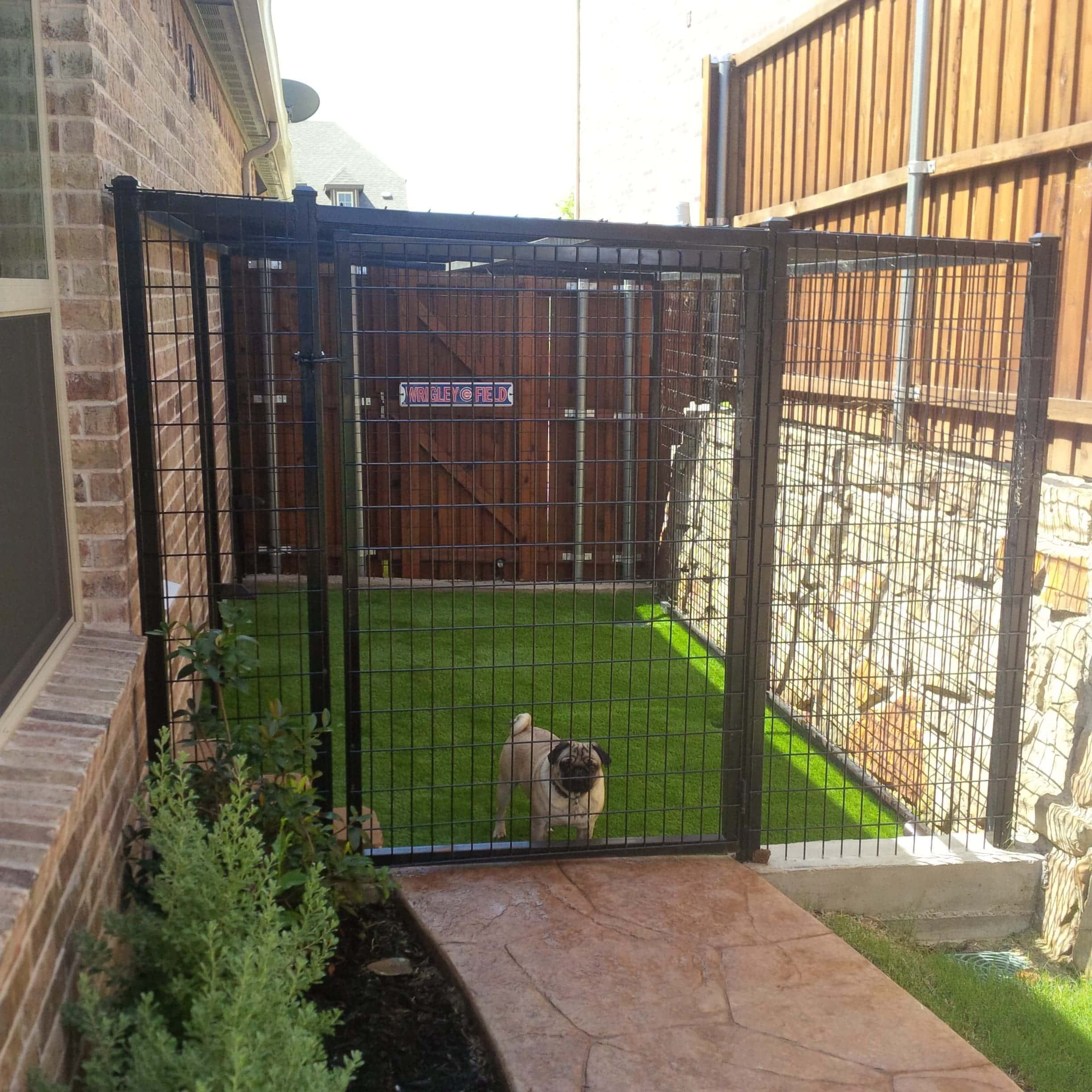 Fencing for Your Dog, Big or Small