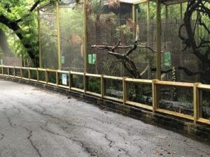 Simple wood fencing for Dallas Zoo completed by Buzz Custom Fence