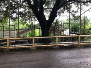 Wooden barrier fence at Dallas Zoo by Buzz Custom Fence