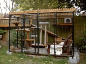 Backyard catio for cats
