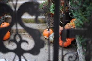 Fence in autumn time