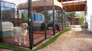 Outdoor dog kennel