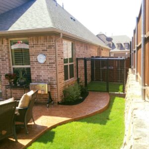 Dog run in backyard