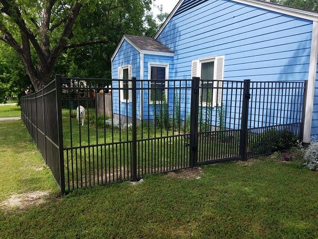 Black aluminum fence with puppy pickets on the sideyard of a blue house with a dog in it