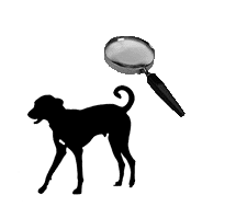 Missing dog
