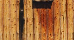Stained wood fence