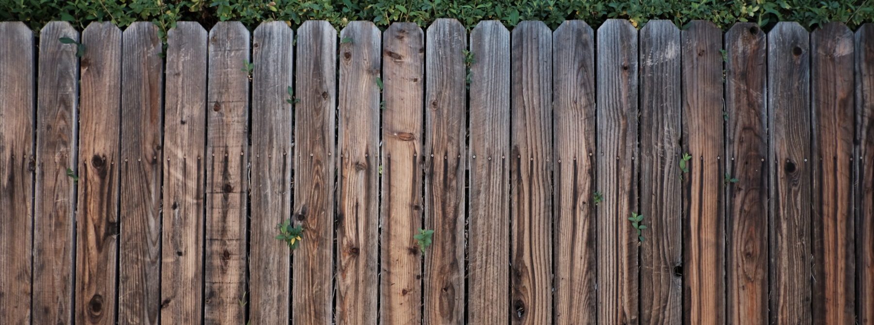 stained fence pickets